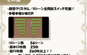 [精品RPG机翻CV]メス堕ち若妻～夫に内緒でネトラレH 堕落的人妻～背着丈夫做出背叛的H～[电脑1.18G/FM/BD]